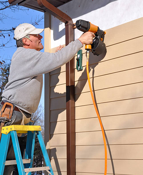 Best Custom Trim and Detailing for Siding  in Meadows Place, TX